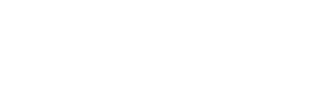 Vanessa Lopes Alegretti
